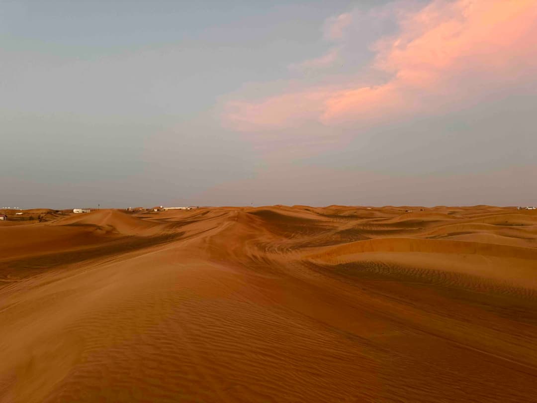 Desert View